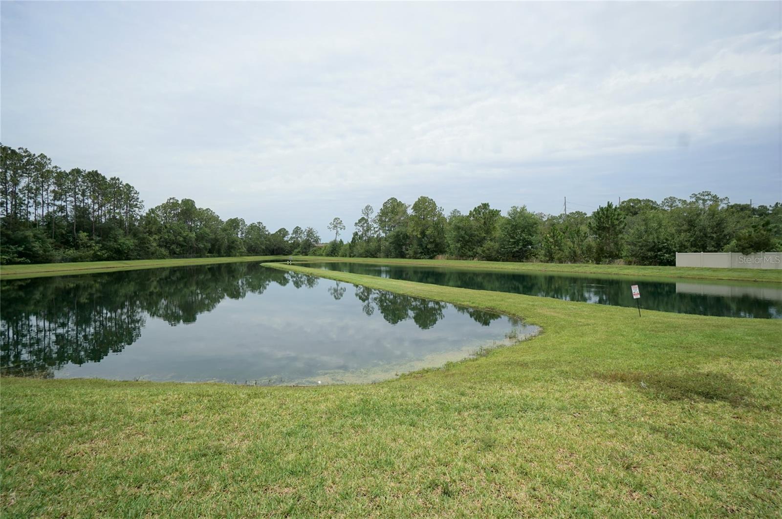 6016 GRAND SONATA AVE, LUTZ, FL, 33558