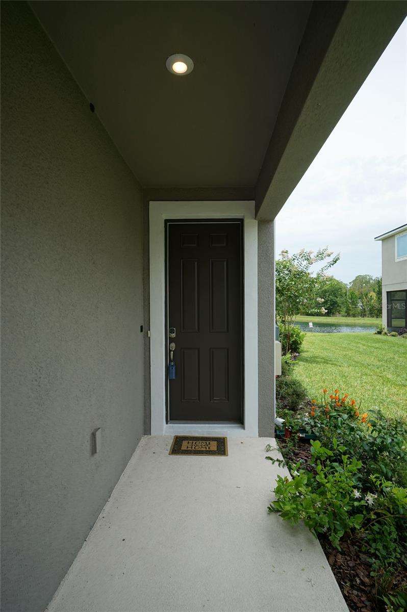 6016 GRAND SONATA AVE, LUTZ, FL, 33558