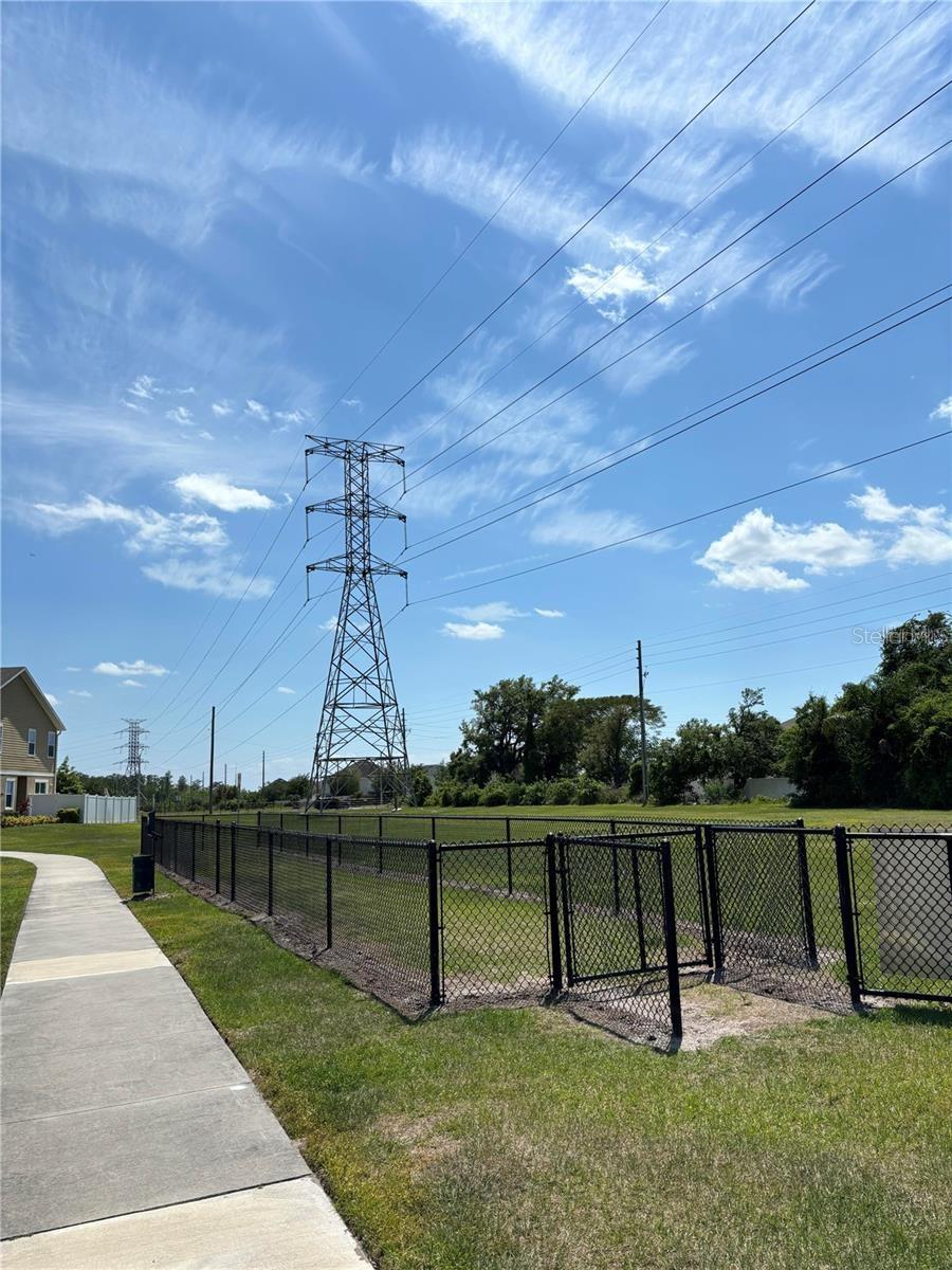 2175 SEDGE GRASS WAY, ORLANDO, FL, 32824