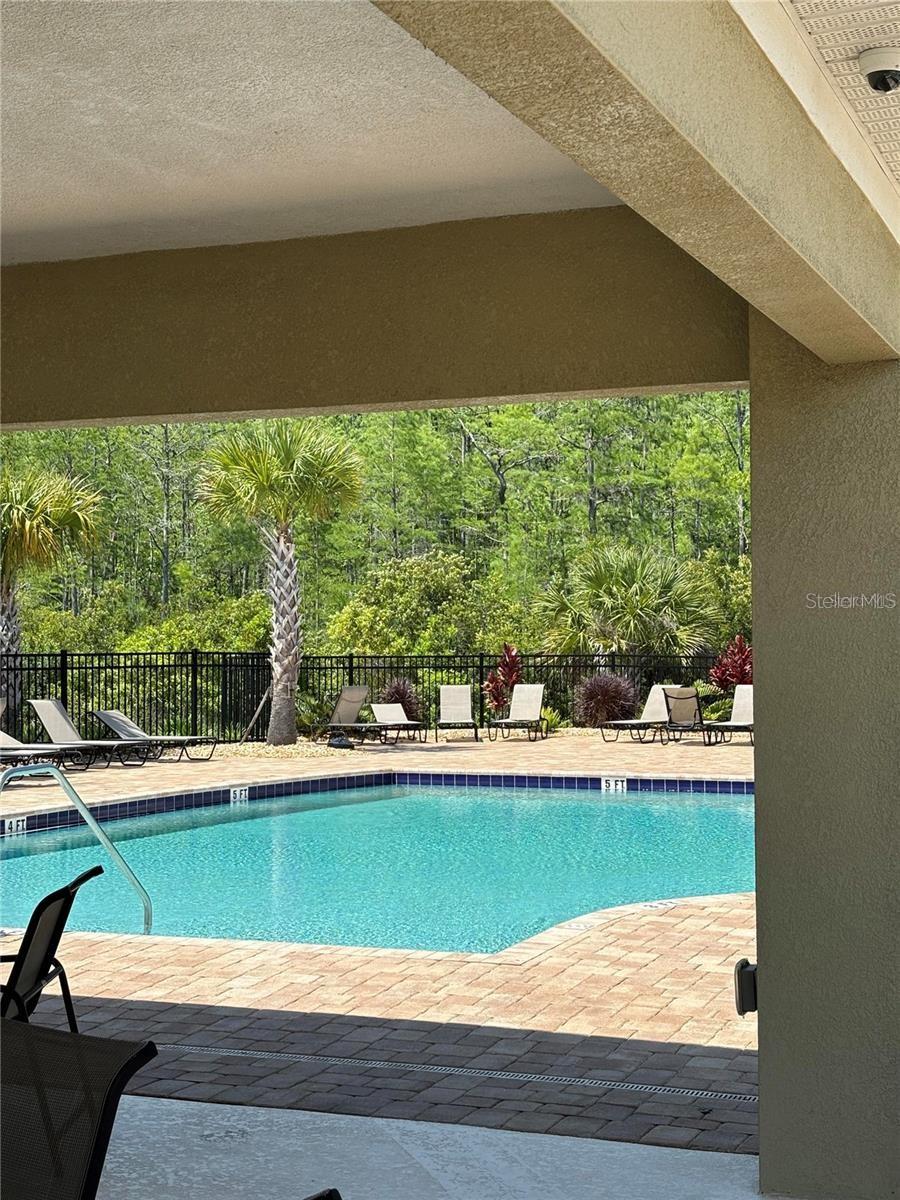 2175 SEDGE GRASS WAY, ORLANDO, FL, 32824