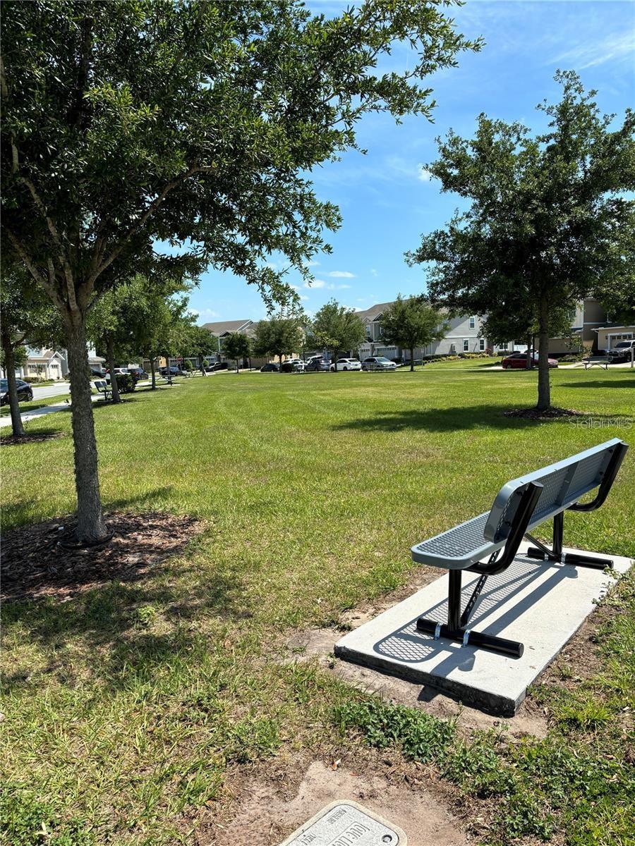 2175 SEDGE GRASS WAY, ORLANDO, FL, 32824