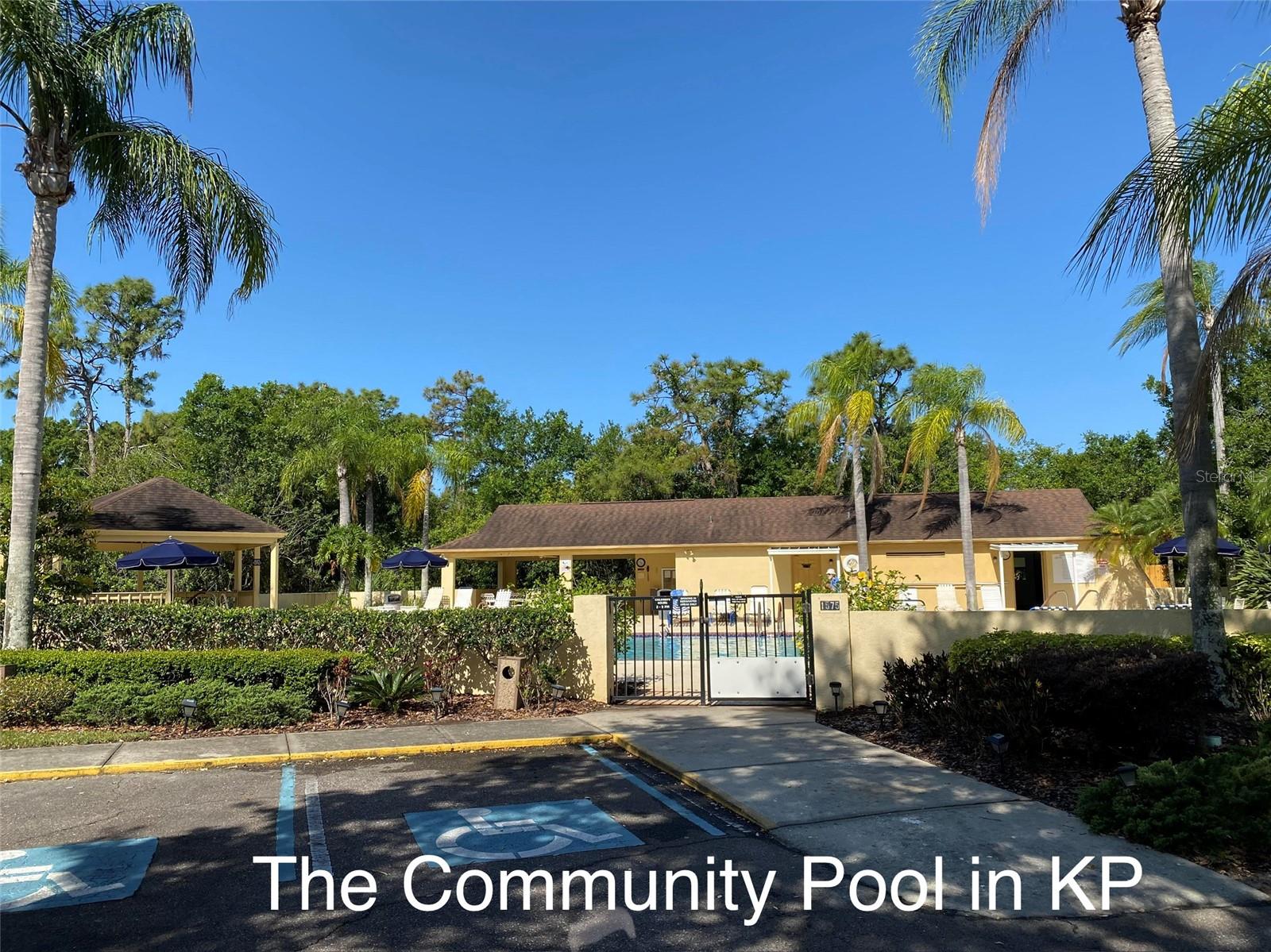 827 MCCALLISTER AVE #51, SUN CITY CENTER, FL, 33573