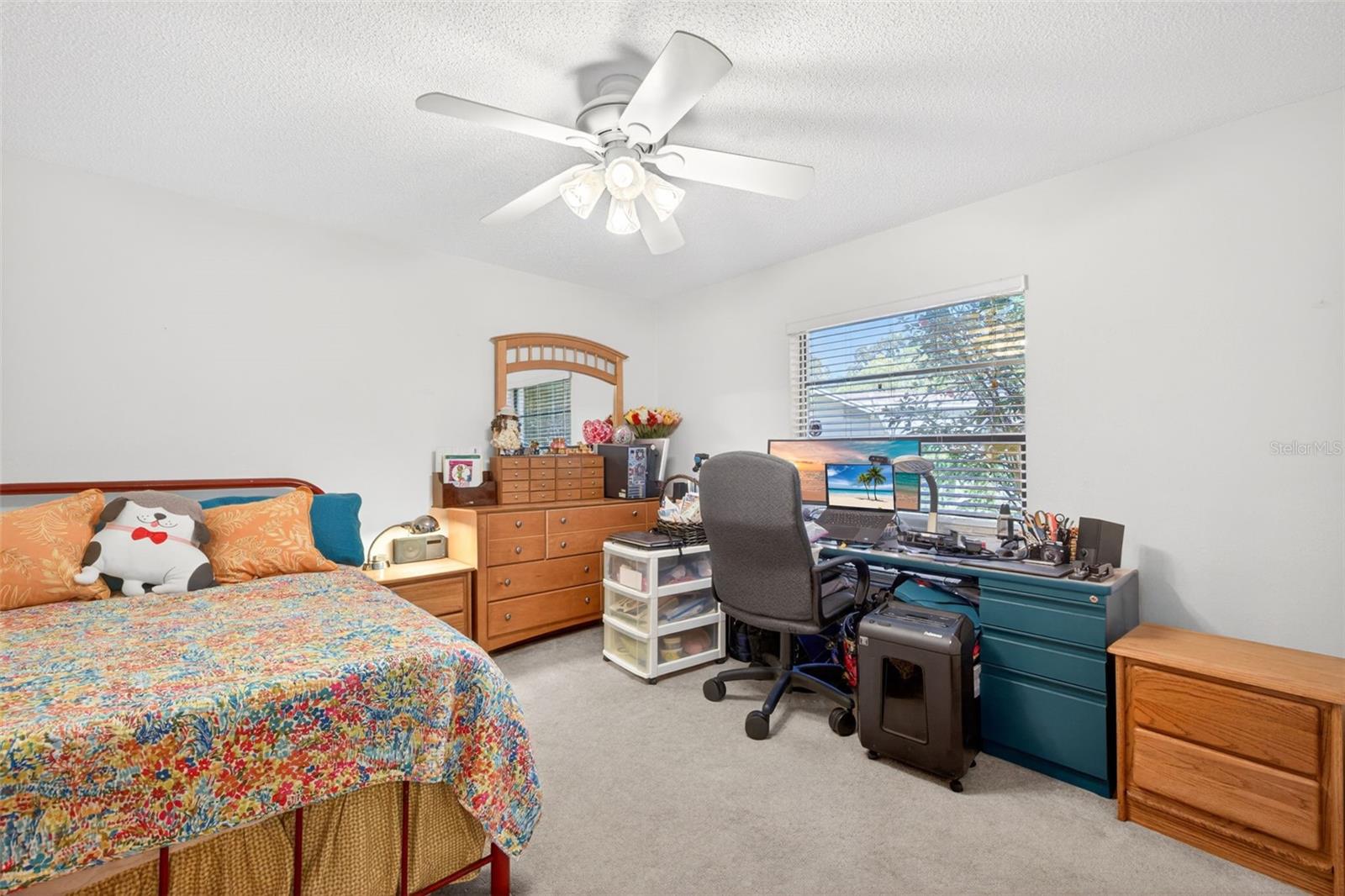 5035 BARROWE DR, TAMPA, FL, 33624