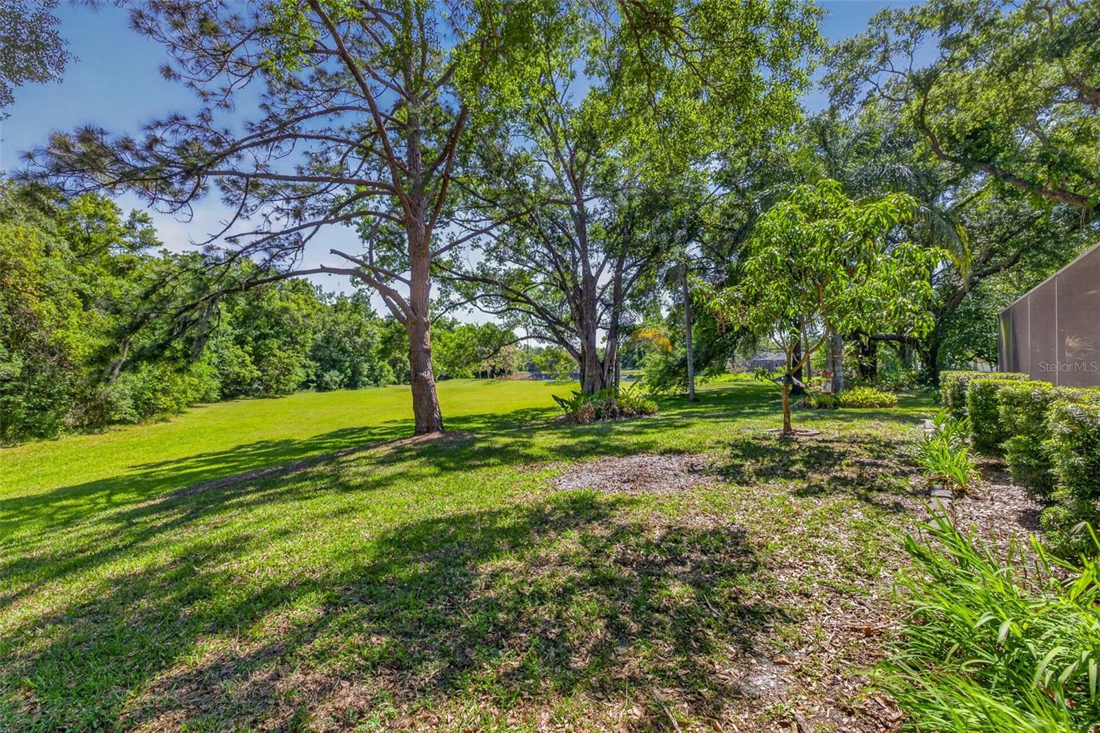 5035 BARROWE DR, TAMPA, FL, 33624