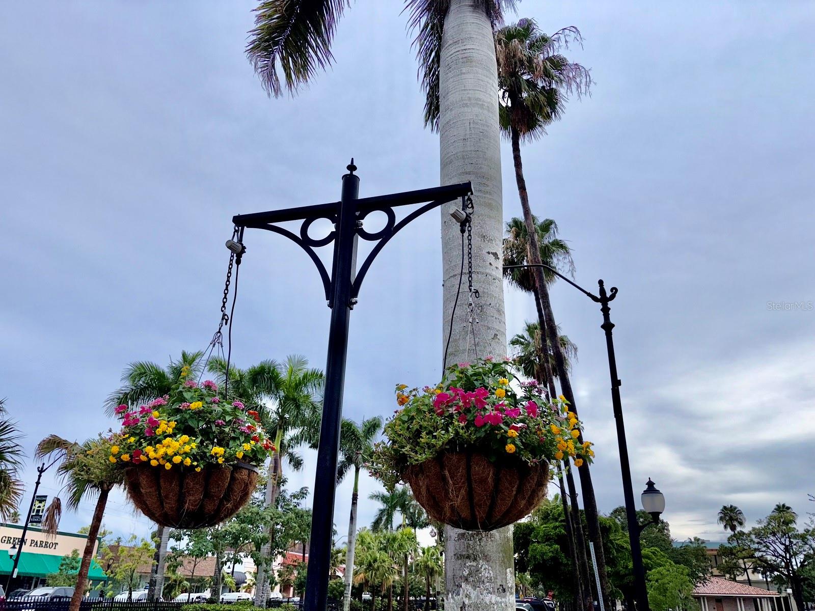 690 CIRCLEWOOD DR #W8, VENICE, FL, 34293