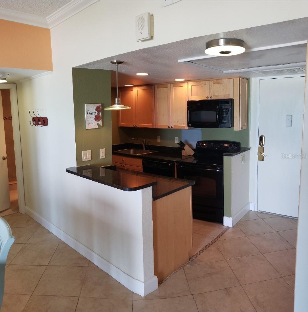 880 MANDALAY AVE #S205, CLEARWATER BEACH, FL, 33767