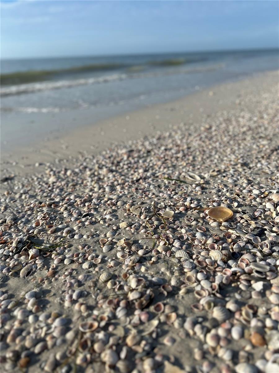 880 MANDALAY AVE #S205, CLEARWATER BEACH, FL, 33767