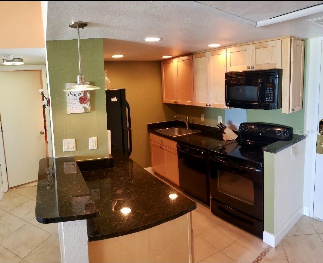 880 MANDALAY AVE #S205, CLEARWATER BEACH, FL, 33767