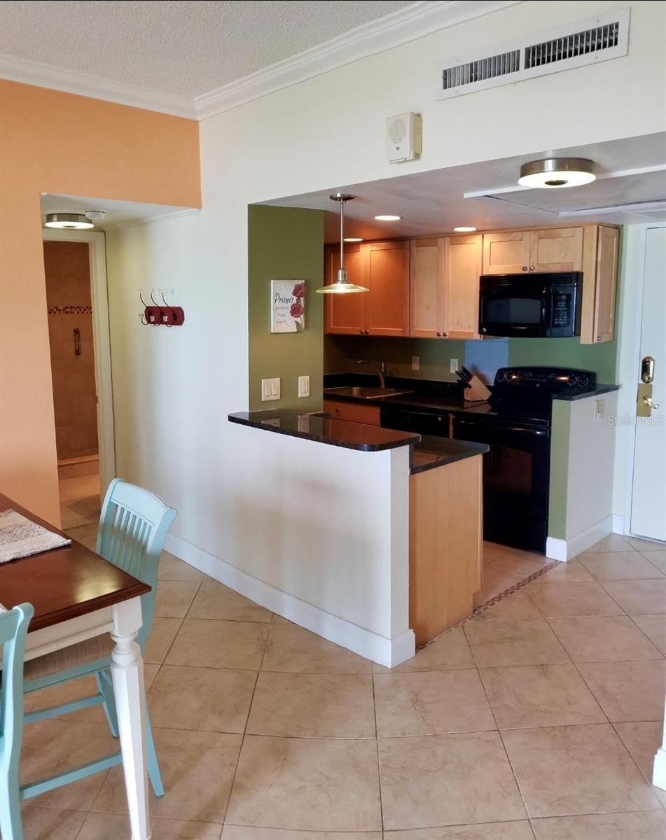 880 MANDALAY AVE #S205, CLEARWATER BEACH, FL, 33767