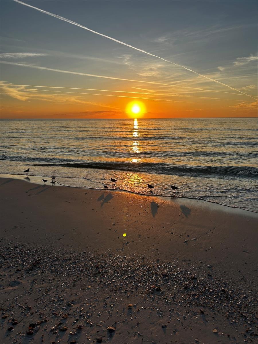 880 MANDALAY AVE #S205, CLEARWATER BEACH, FL, 33767