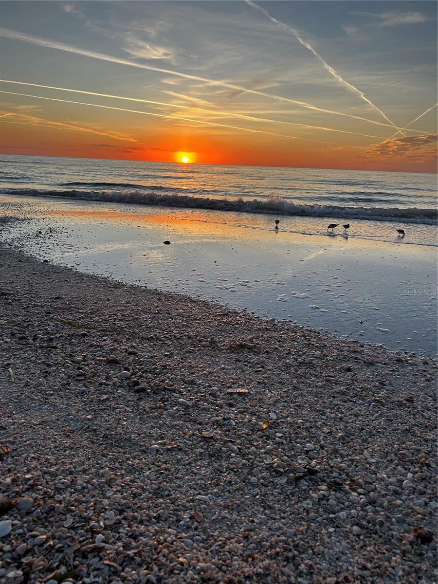 880 MANDALAY AVE #S205, CLEARWATER BEACH, FL, 33767