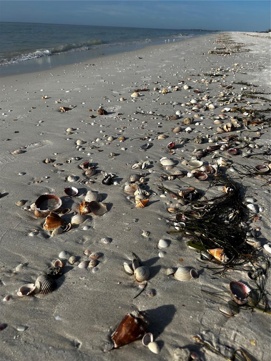 880 MANDALAY AVE #S205, CLEARWATER BEACH, FL, 33767