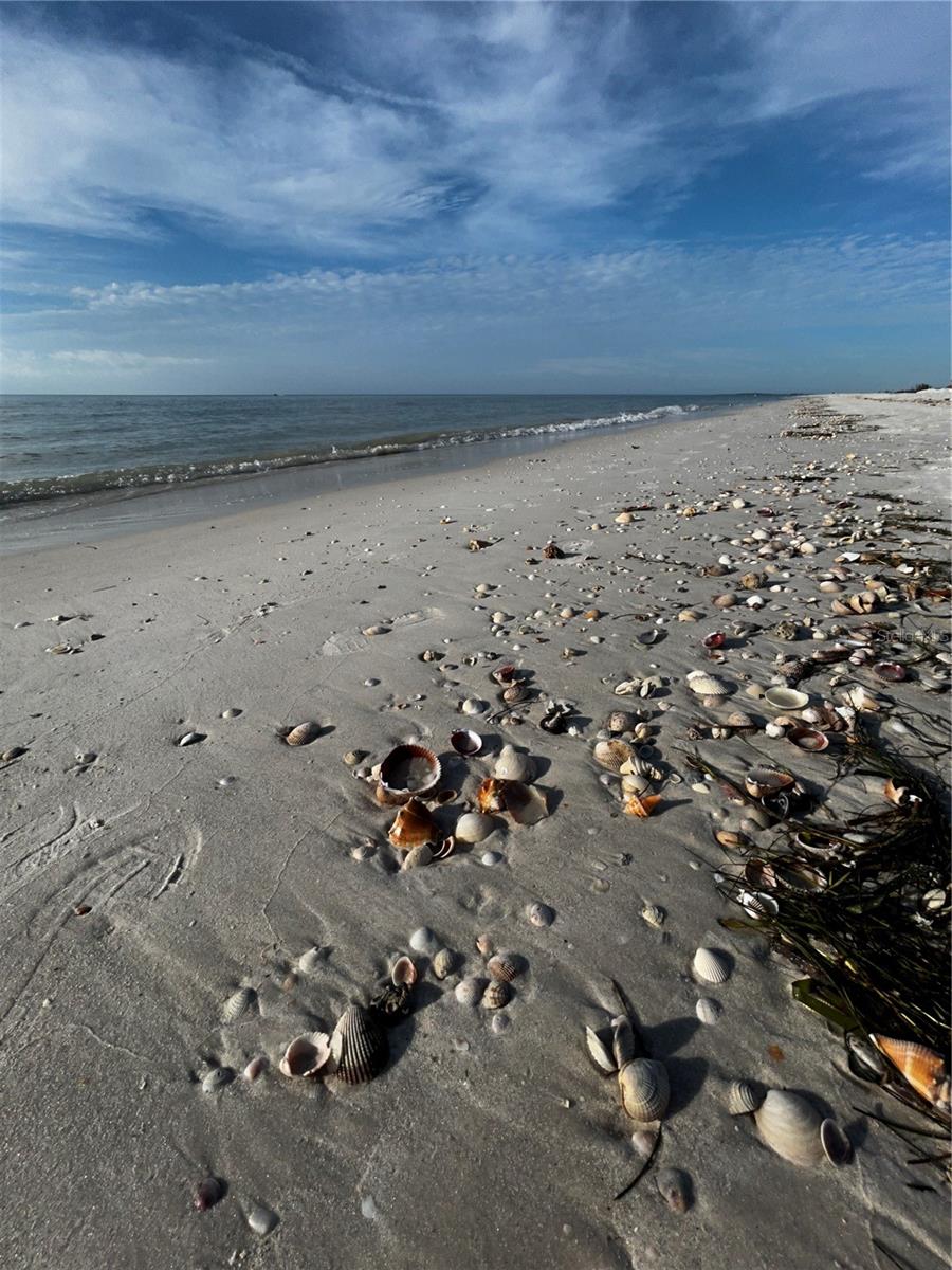 880 MANDALAY AVE #S205, CLEARWATER BEACH, FL, 33767