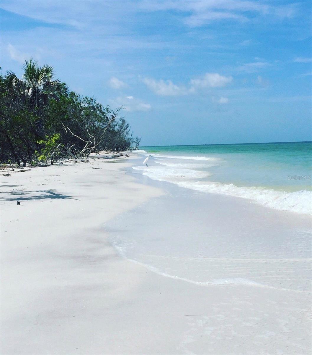 880 MANDALAY AVE #S205, CLEARWATER BEACH, FL, 33767