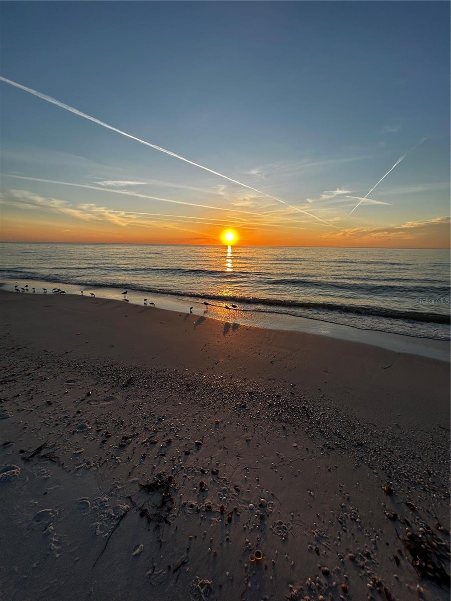 880 MANDALAY AVE #S205, CLEARWATER BEACH, FL, 33767