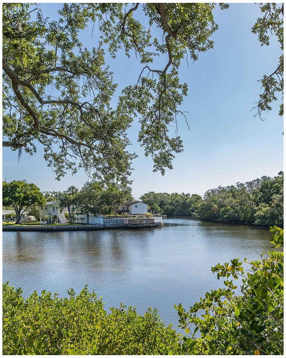 9001 TUDOR DR #H210, TAMPA, FL, 33615