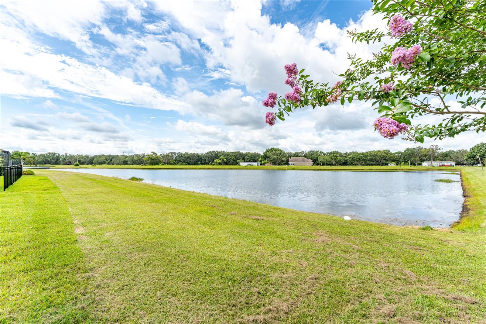 14403 WOODLAND SPUR DR, LITHIA, FL, 33547