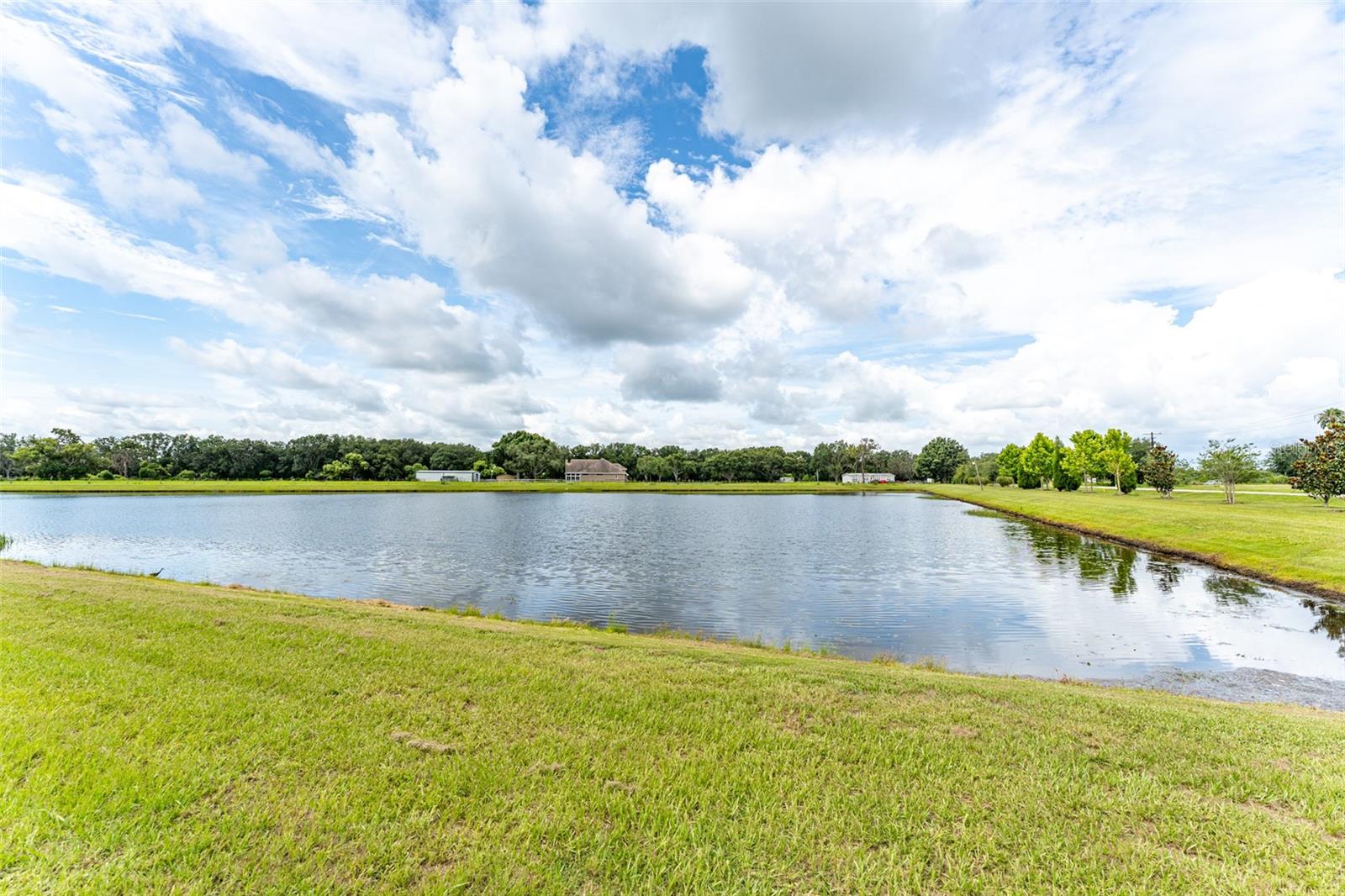 14403 WOODLAND SPUR DR, LITHIA, FL, 33547