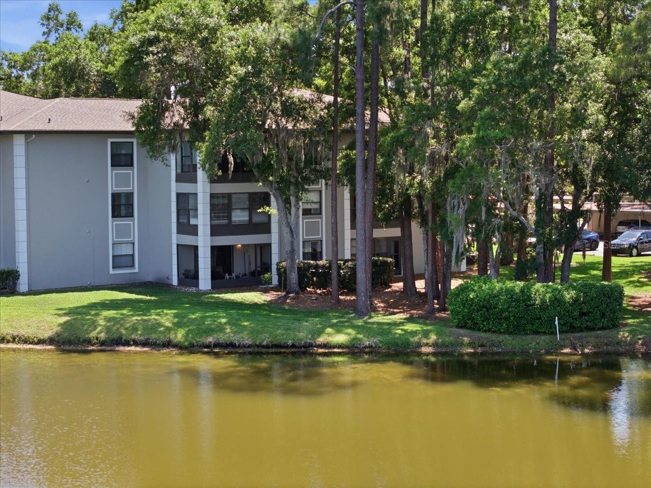 3399 MERMOOR DR #101, PALM HARBOR, FL, 34685