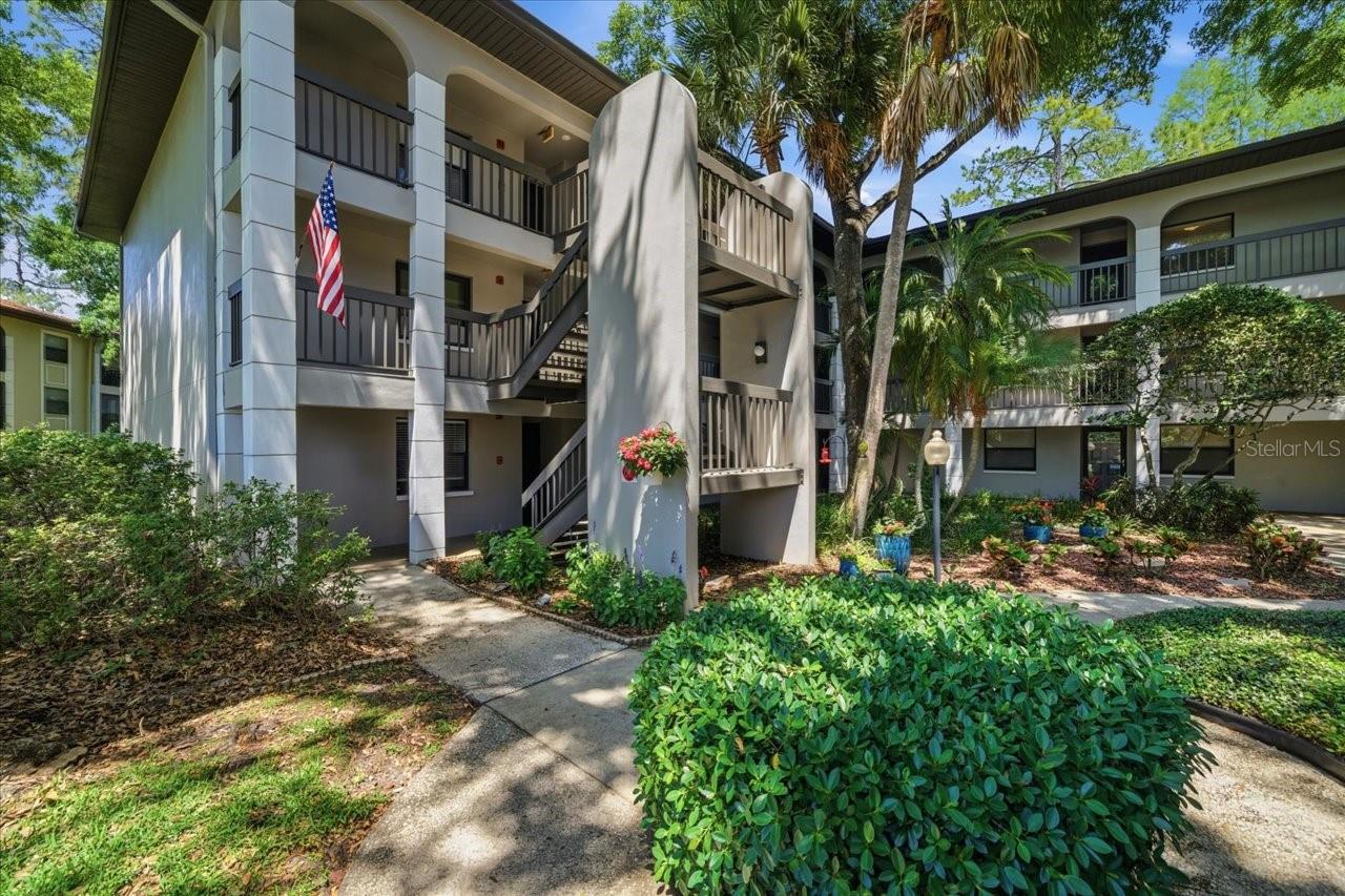 3399 MERMOOR DR #101, PALM HARBOR, FL, 34685