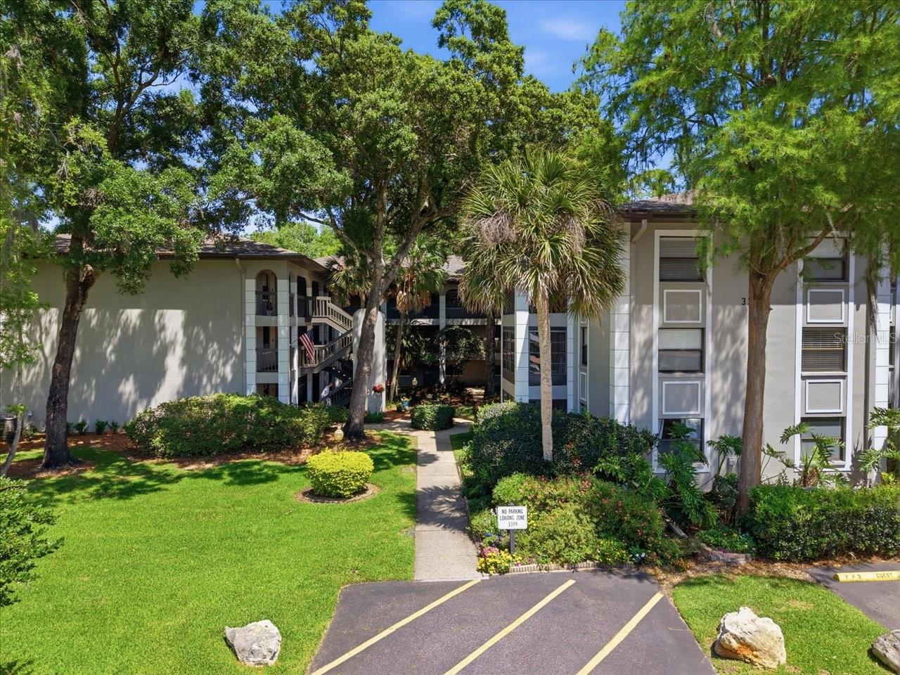 3399 MERMOOR DR #101, PALM HARBOR, FL, 34685