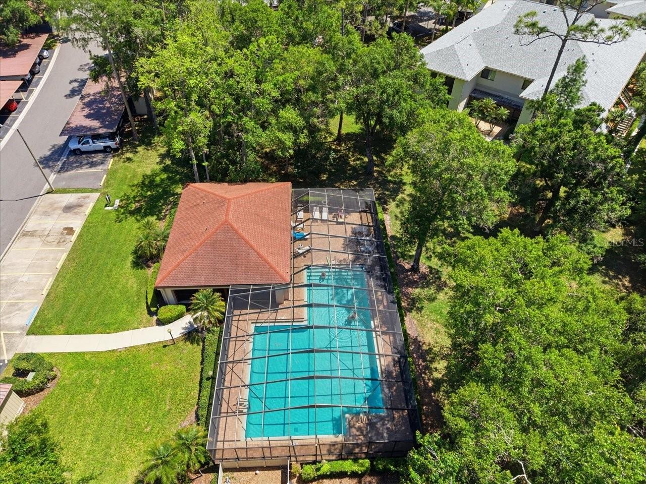 3399 MERMOOR DR #101, PALM HARBOR, FL, 34685