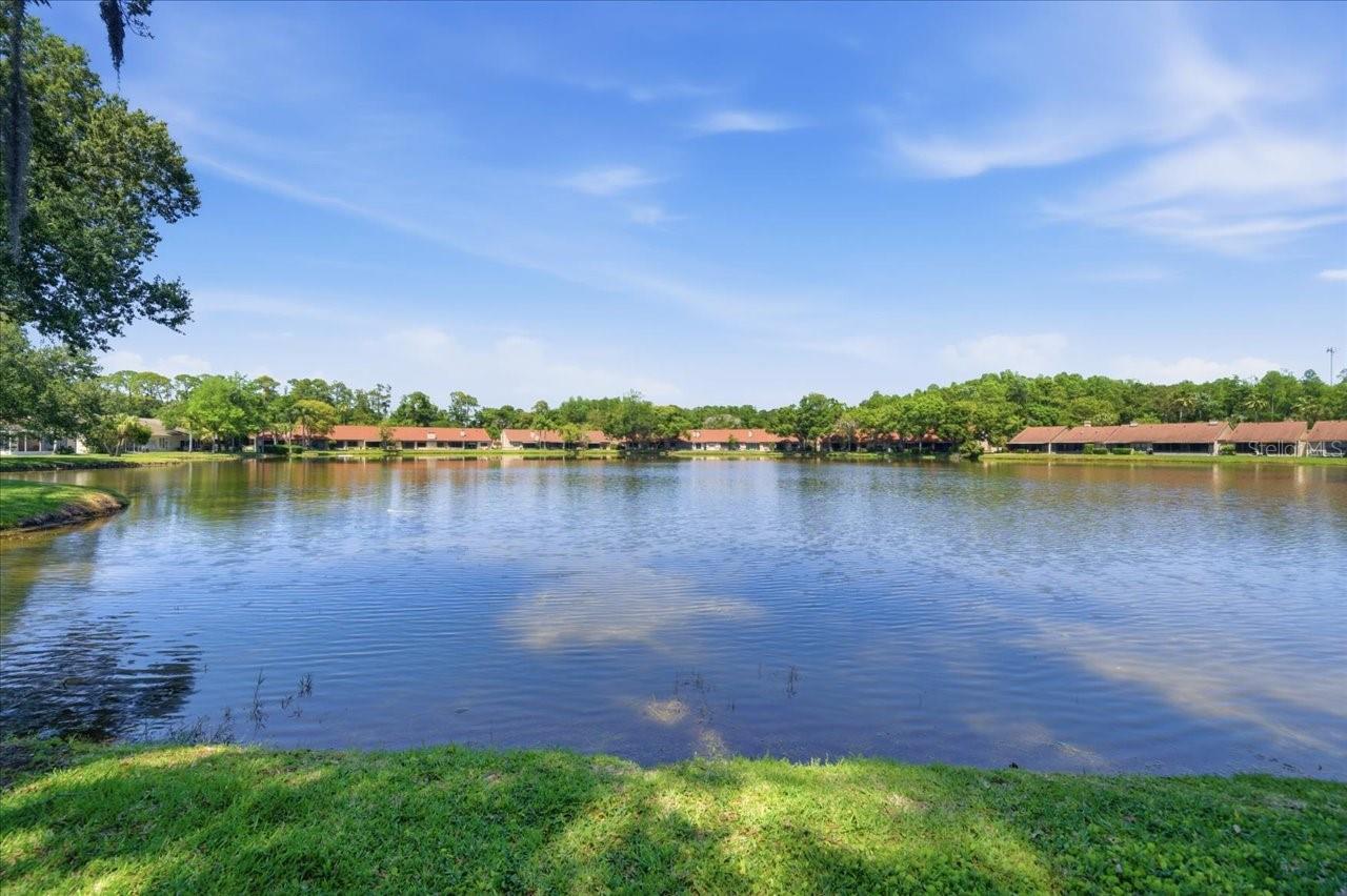 3399 MERMOOR DR #101, PALM HARBOR, FL, 34685