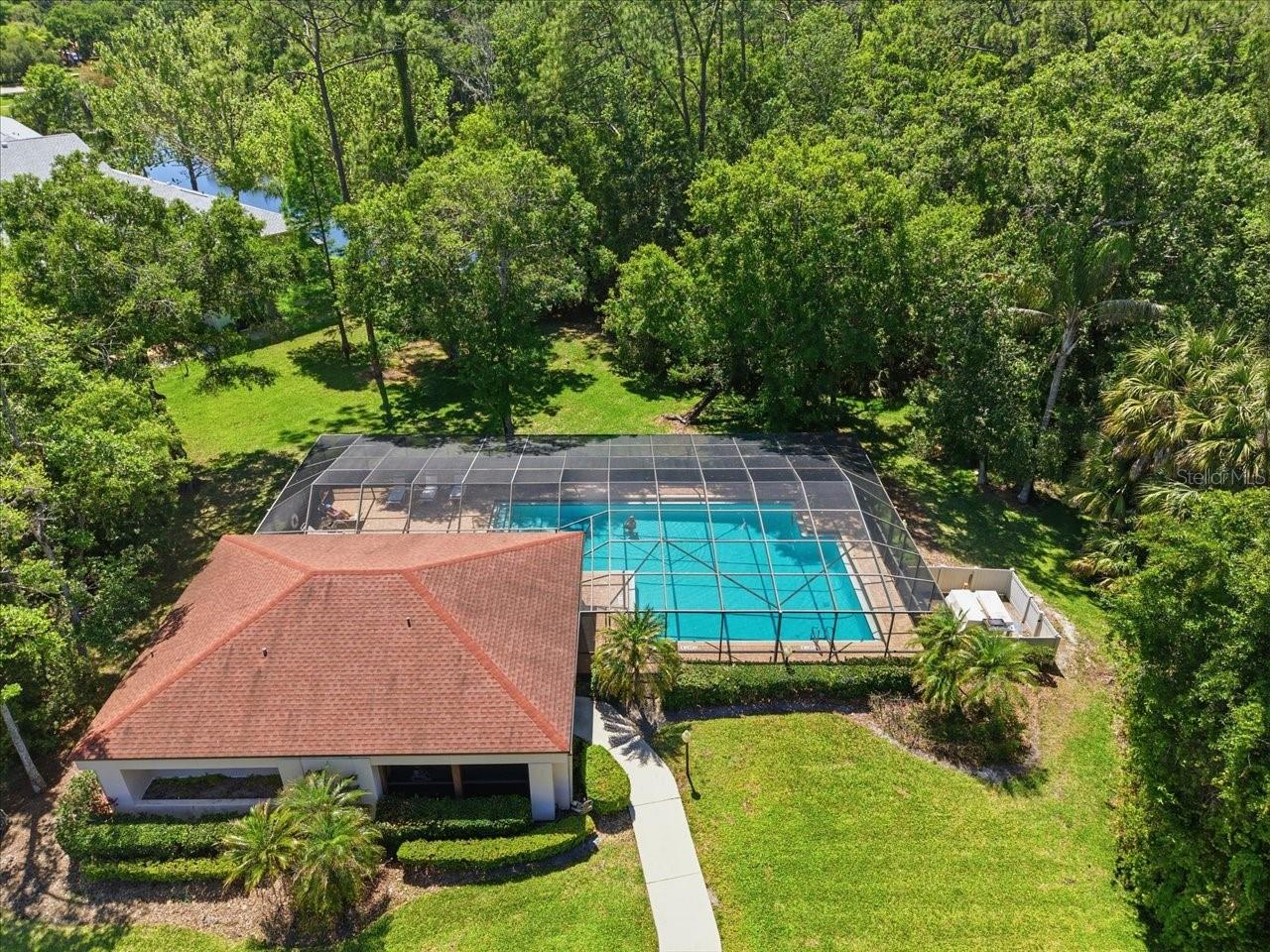 3399 MERMOOR DR #101, PALM HARBOR, FL, 34685