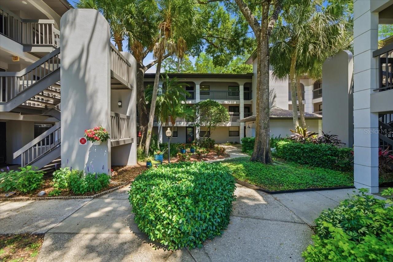 3399 MERMOOR DR #101, PALM HARBOR, FL, 34685