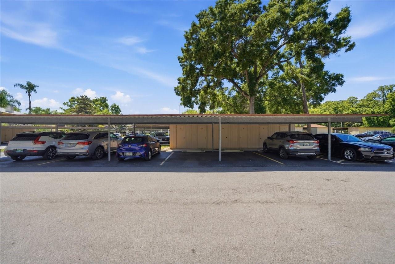 3399 MERMOOR DR #101, PALM HARBOR, FL, 34685