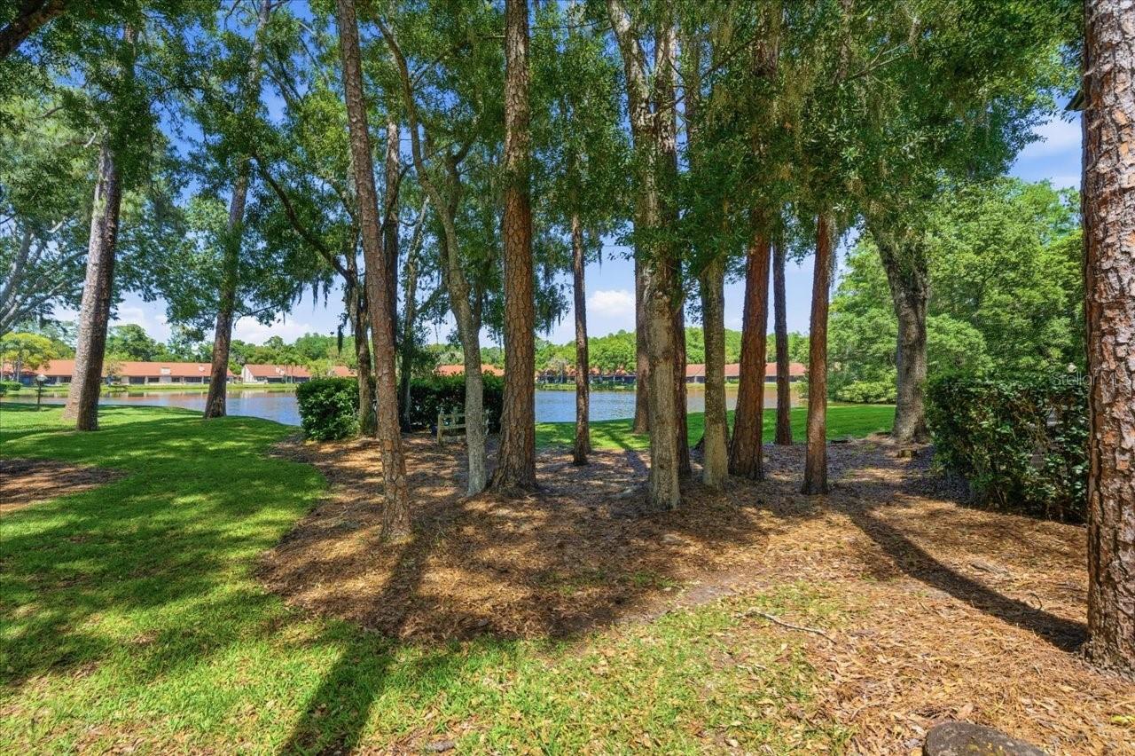 3399 MERMOOR DR #101, PALM HARBOR, FL, 34685