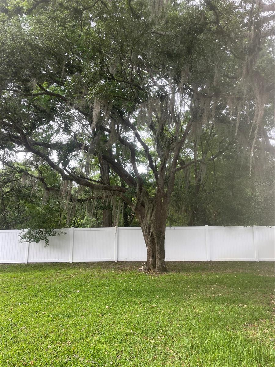 9917 NICOMA LN, ORLANDO, FL, 32817