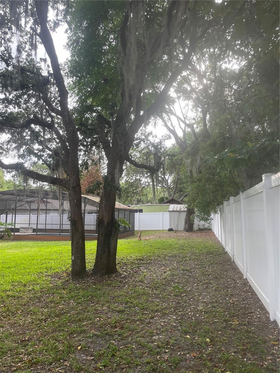 9917 NICOMA LN, ORLANDO, FL, 32817