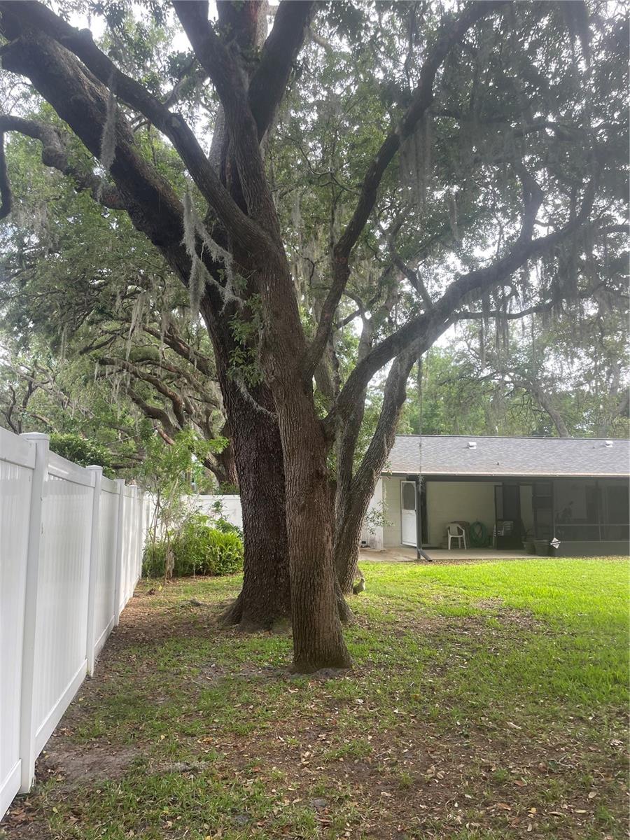 9917 NICOMA LN, ORLANDO, FL, 32817