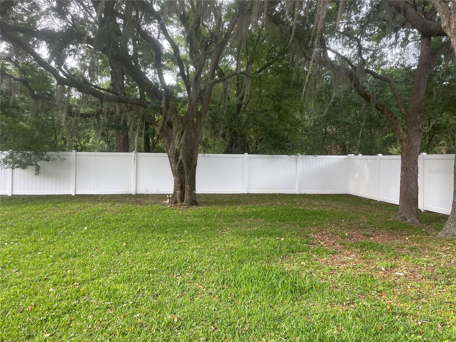 9917 NICOMA LN, ORLANDO, FL, 32817