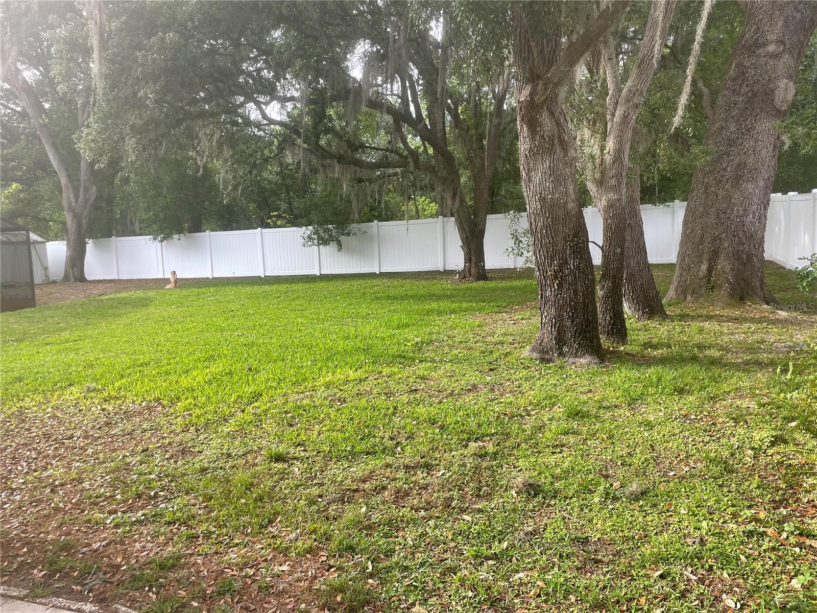 9917 NICOMA LN, ORLANDO, FL, 32817