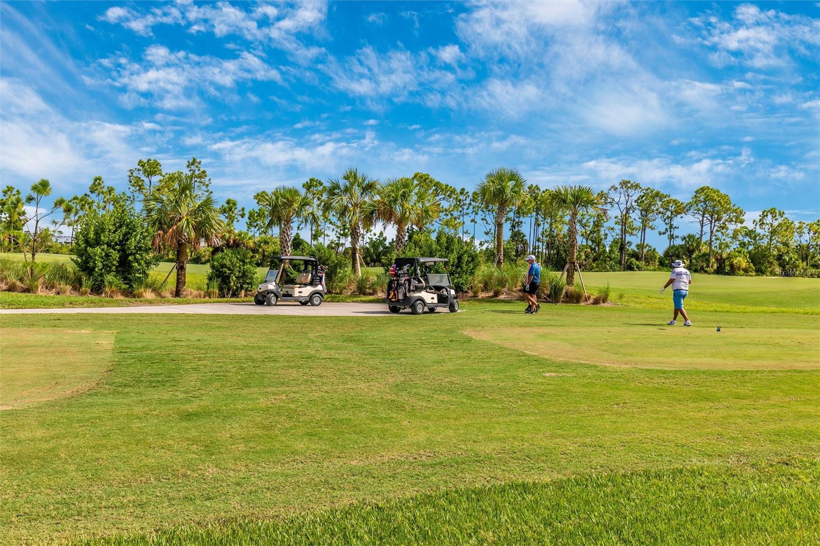 17655 OPAL SAND DR #203, VENICE, FL, 34293