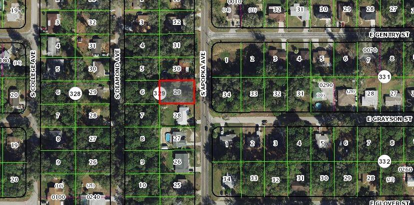 3678 S APOPKA AVE, INVERNESS, FL, 34452