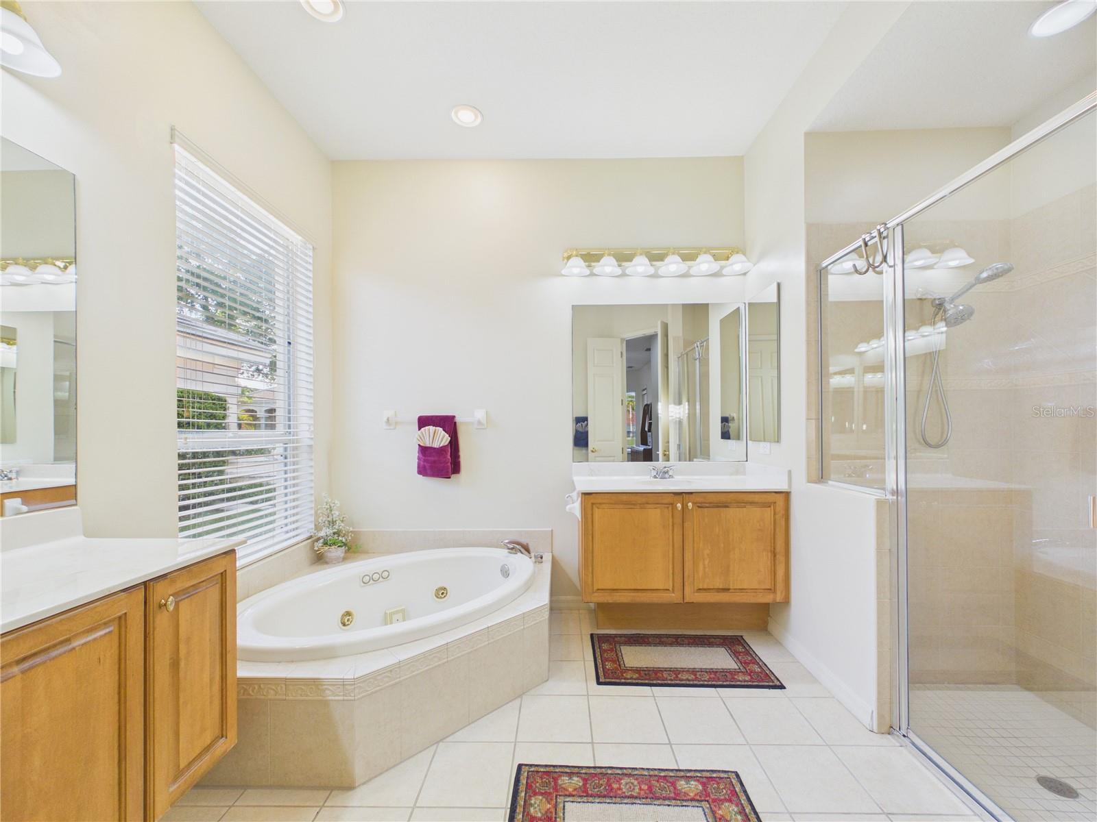 10207 ESTUARY DR, TAMPA, FL, 33647