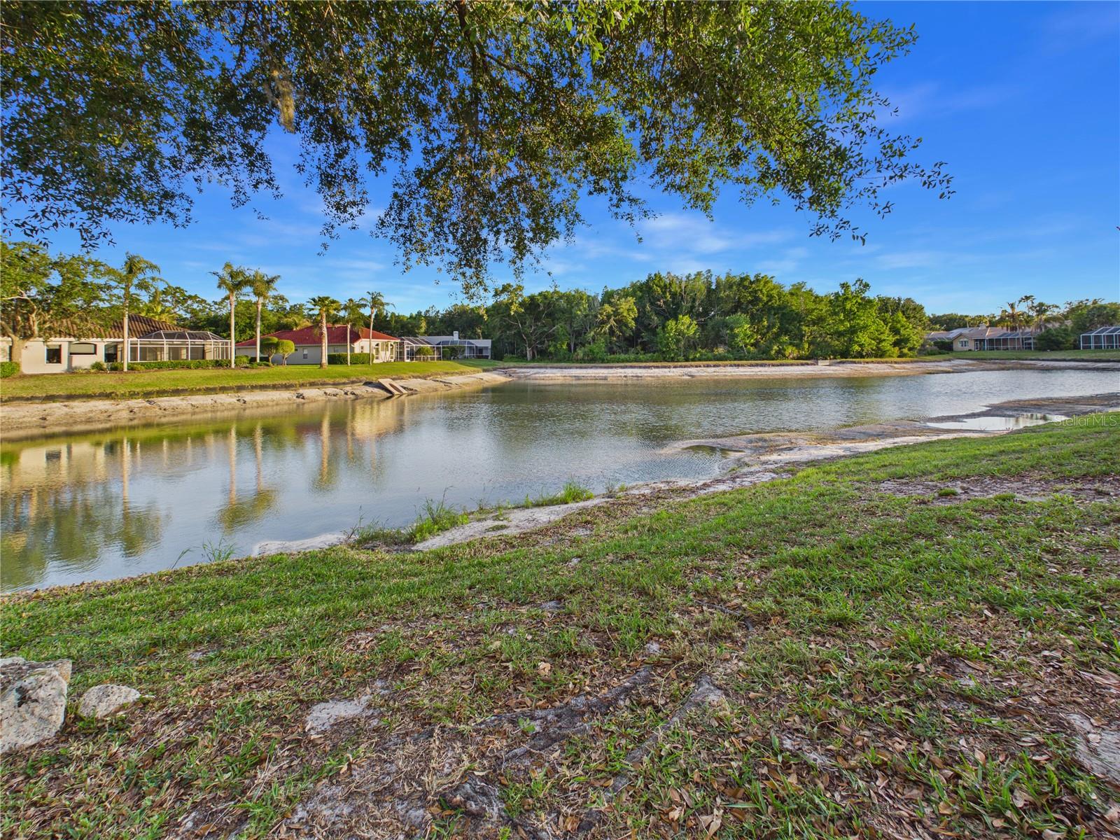 10207 ESTUARY DR, TAMPA, FL, 33647