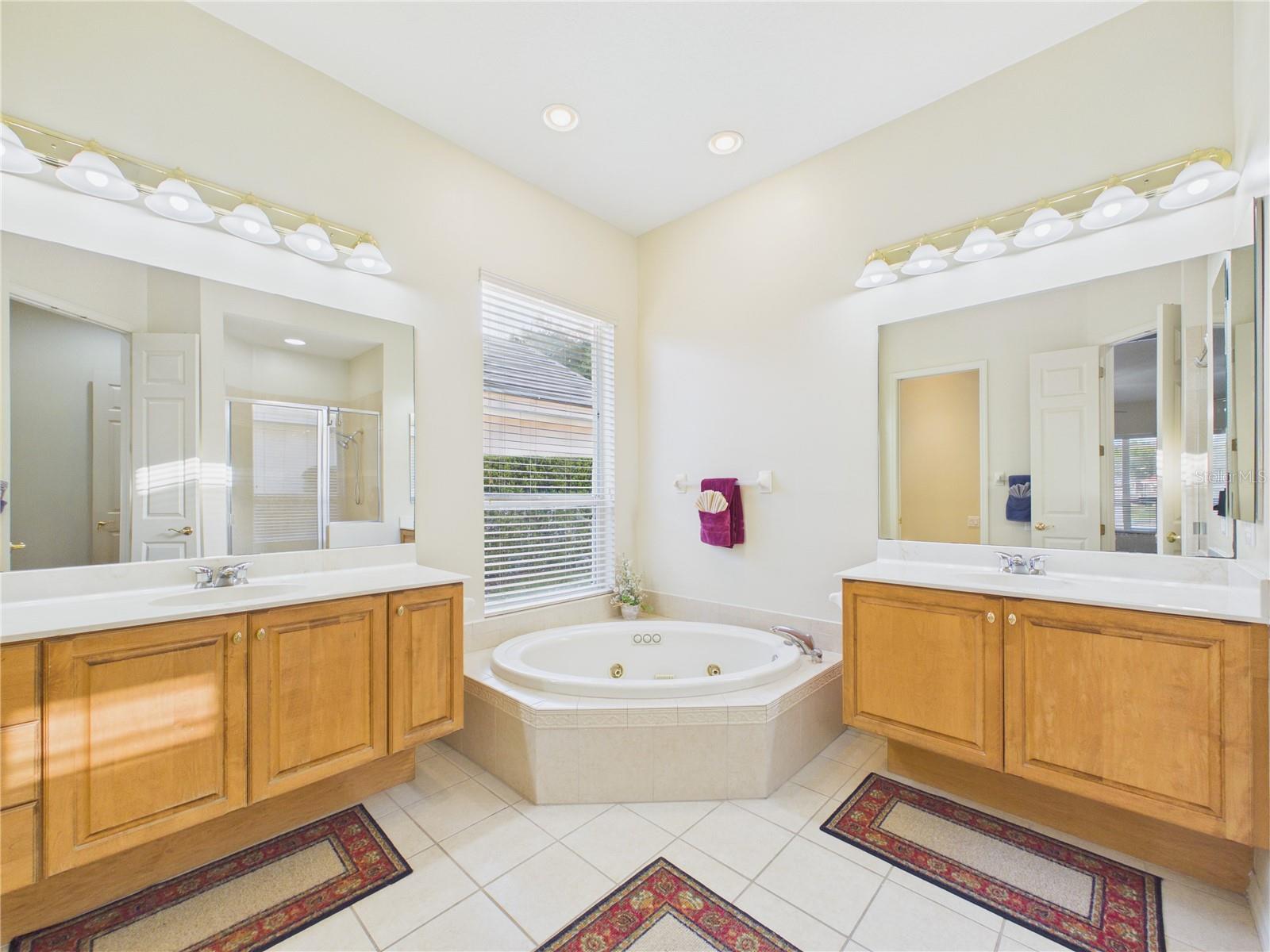 10207 ESTUARY DR, TAMPA, FL, 33647