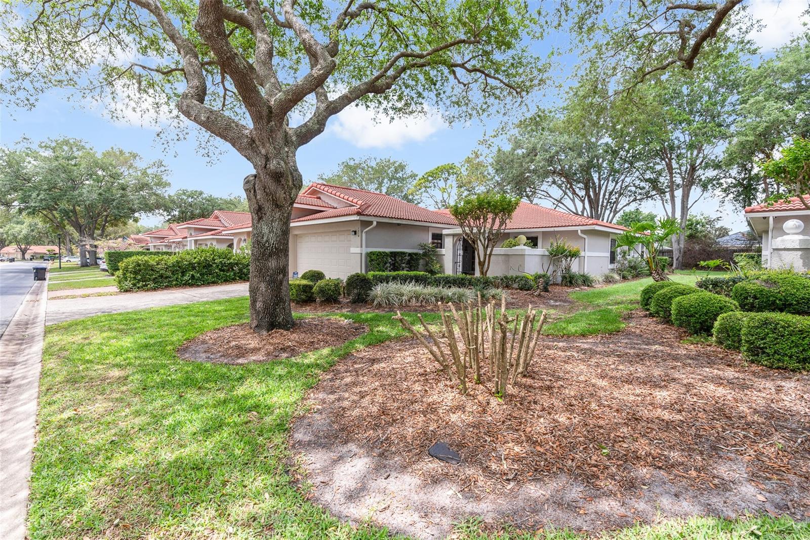 7516 CHAPELHILL DR, ORLANDO, FL, 32819