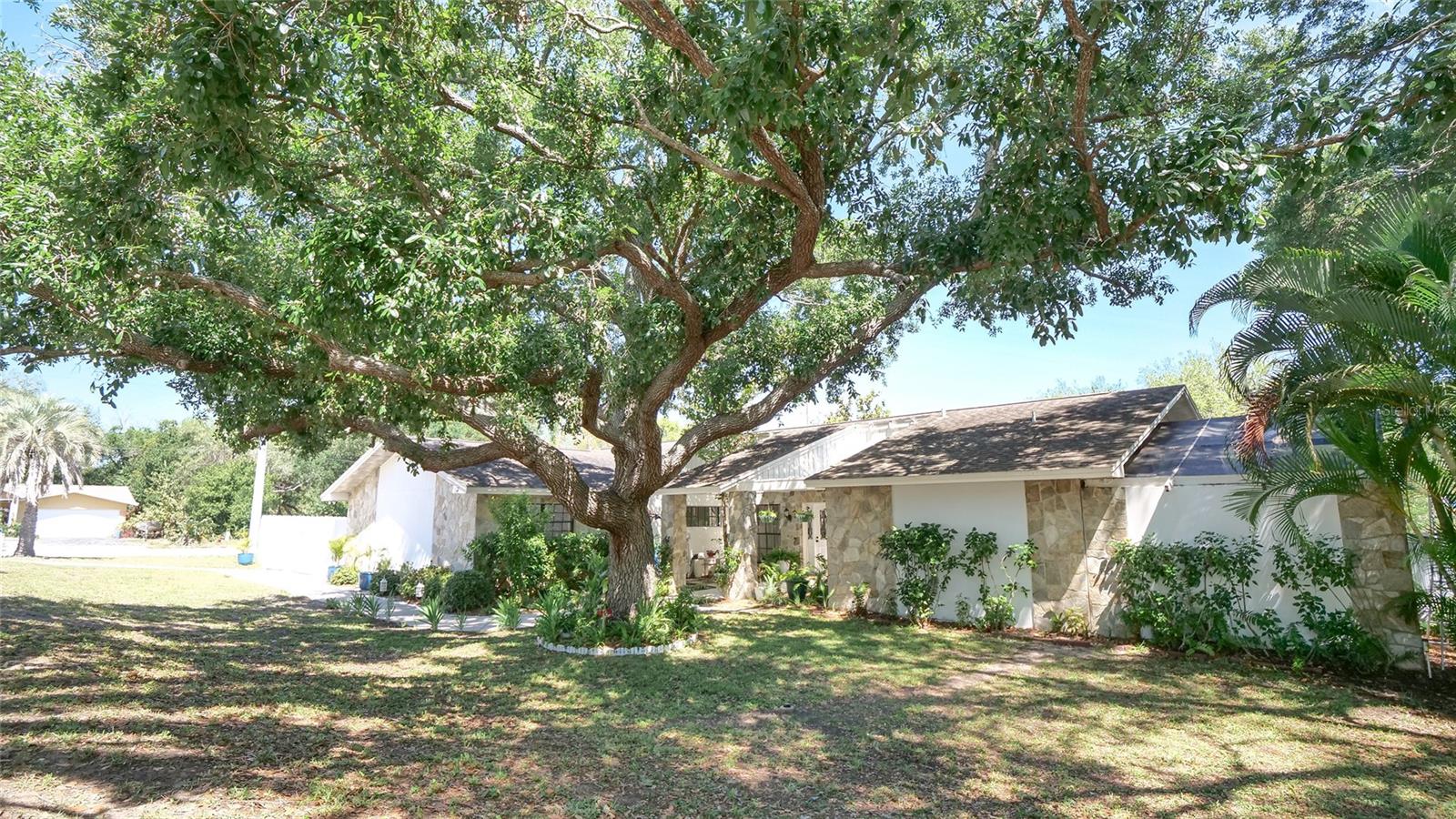 1307 NORMANDY CIR, PALM HARBOR, FL, 34683