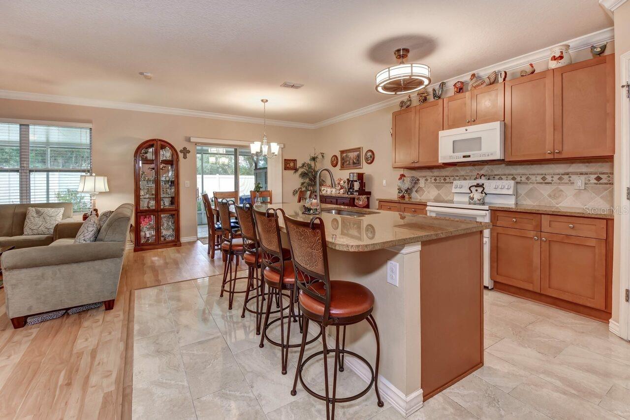 831 OAK HOLLOW LOOP, DELAND, FL, 32724