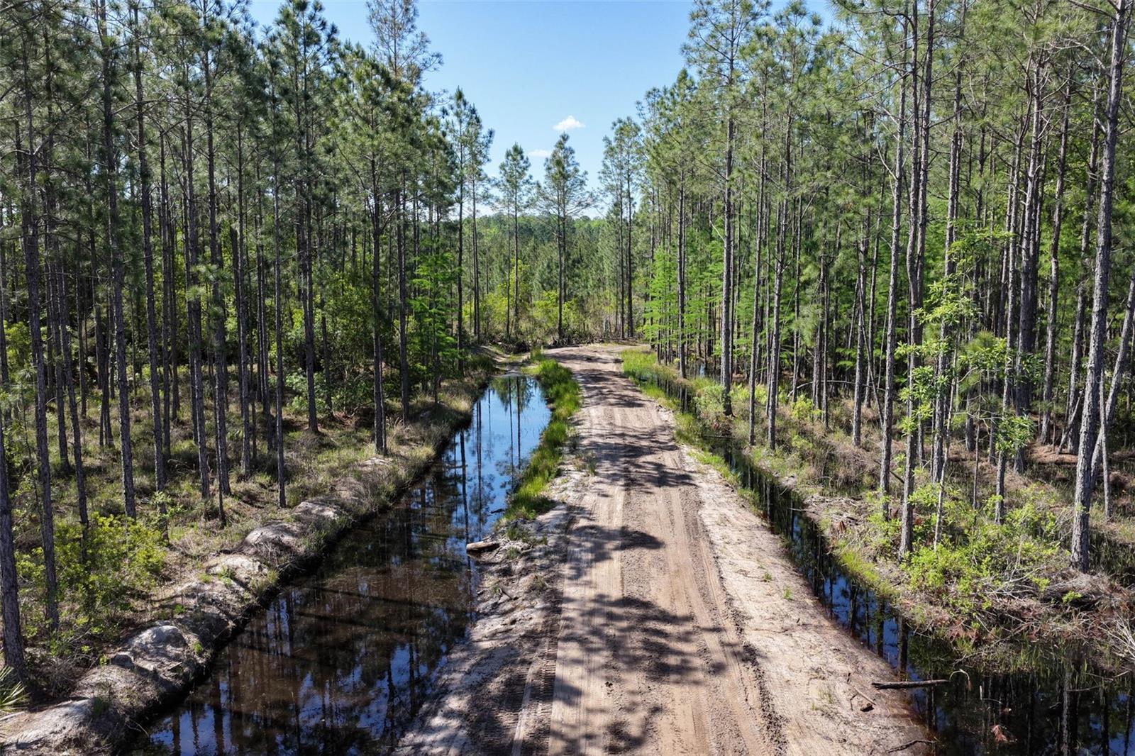 15539 COUNTY RD 305, BUNNELL, FL, 32110