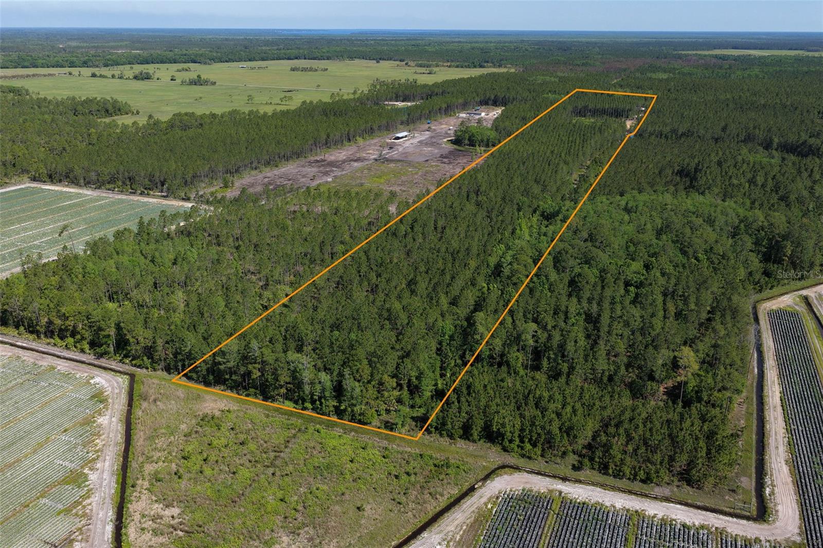 15539 COUNTY RD 305, BUNNELL, FL, 32110