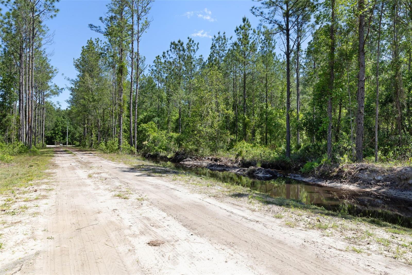 15539 COUNTY RD 305, BUNNELL, FL, 32110