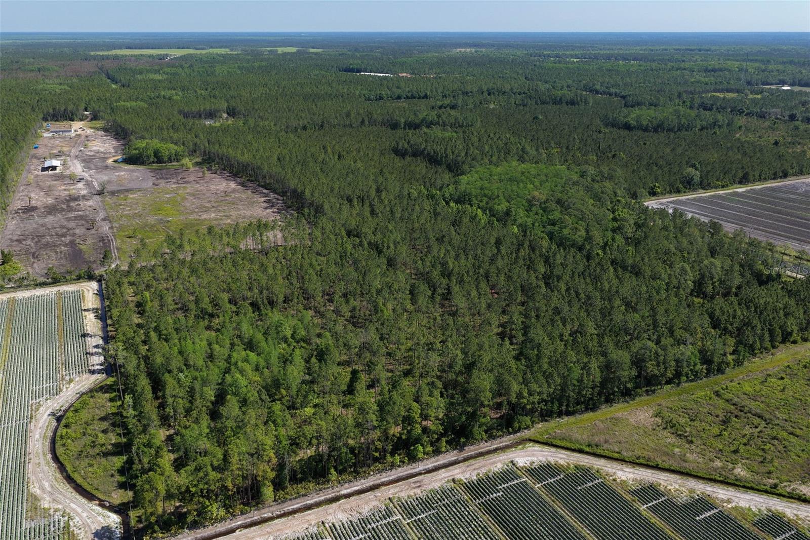 15539 COUNTY RD 305, BUNNELL, FL, 32110