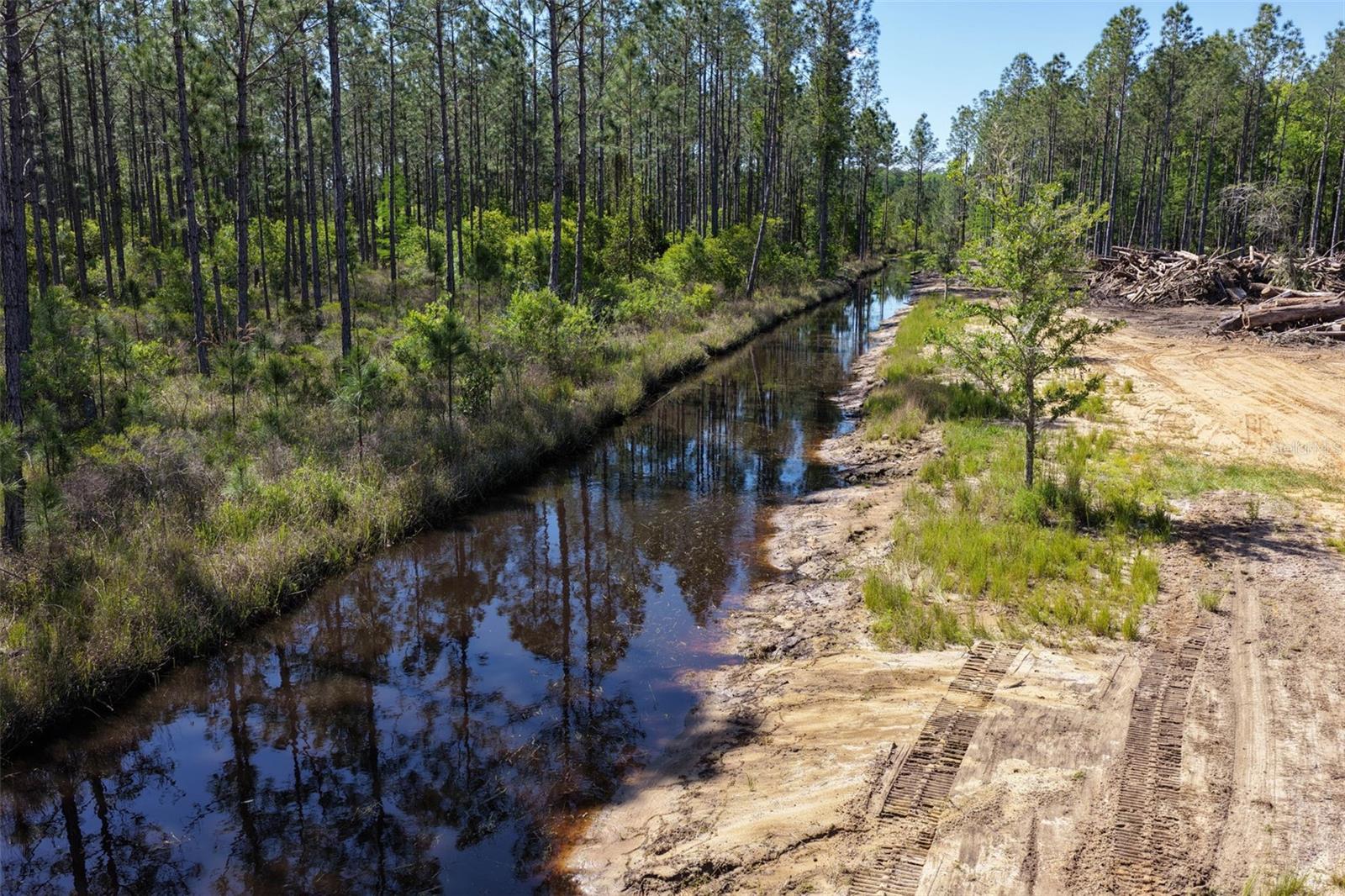 15539 COUNTY RD 305, BUNNELL, FL, 32110