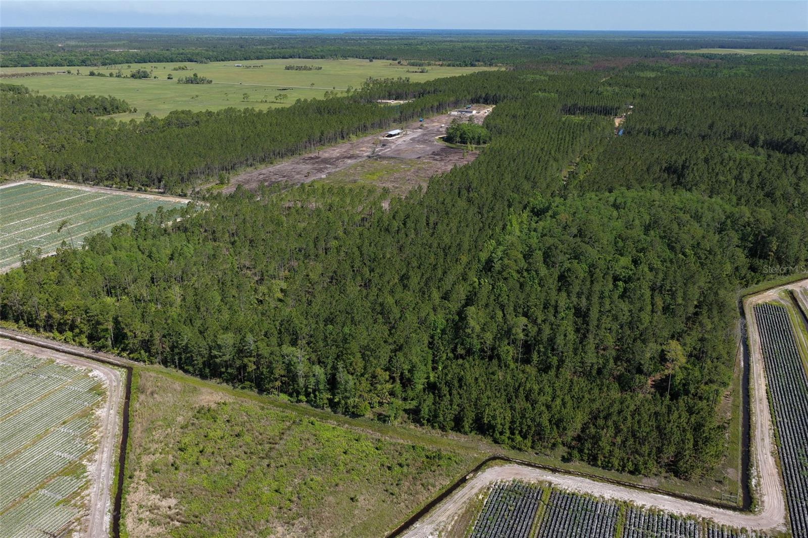 15539 COUNTY RD 305, BUNNELL, FL, 32110